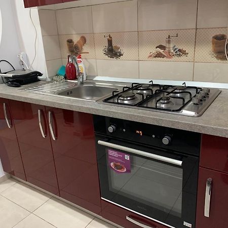 Garsoniera Natalia Apartman Nagyszeben Kültér fotó