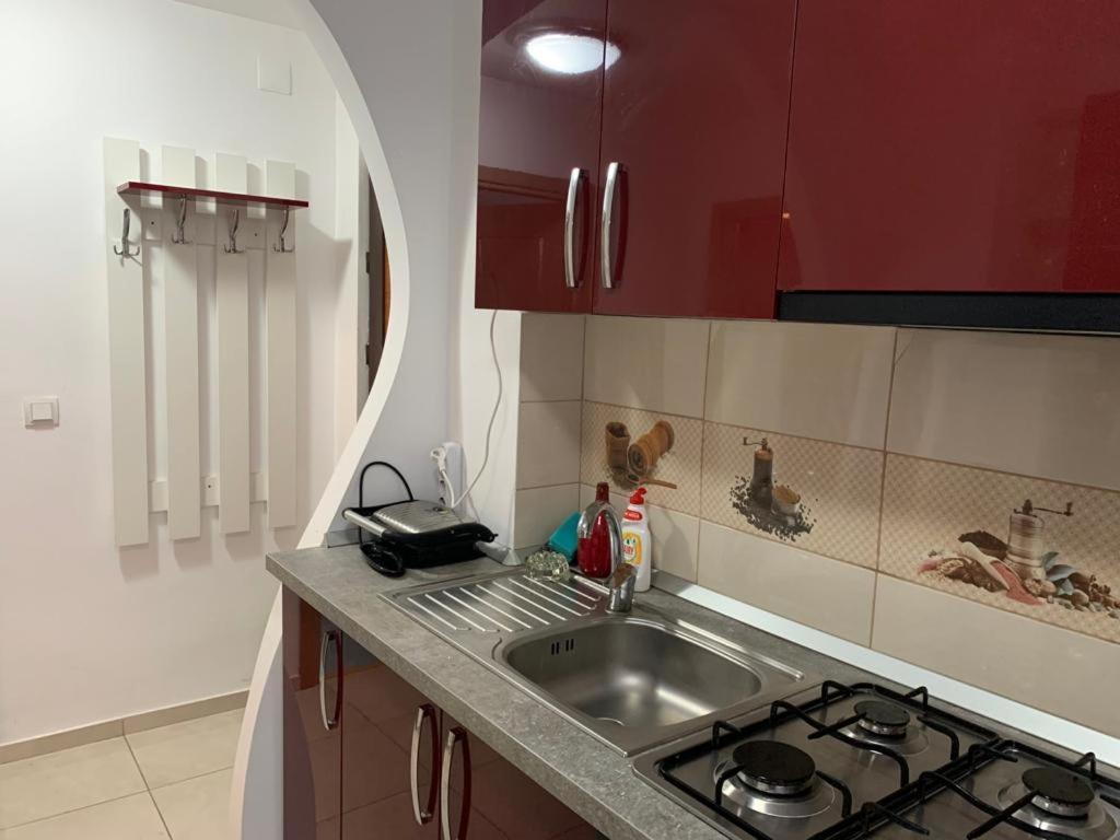Garsoniera Natalia Apartman Nagyszeben Kültér fotó