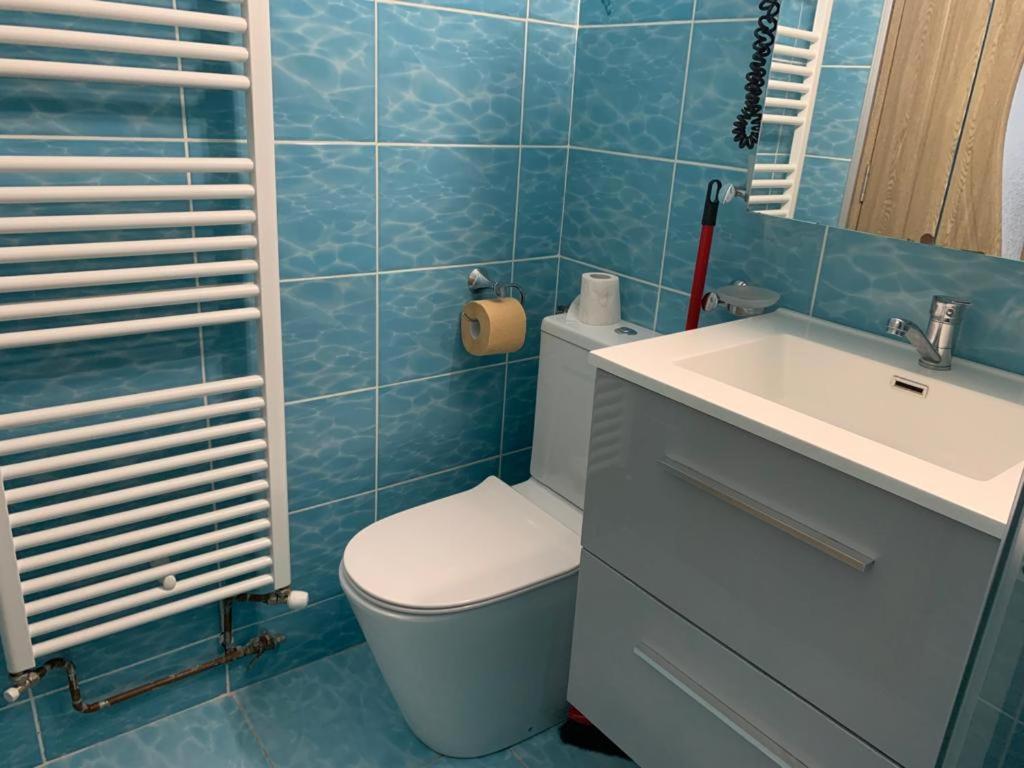 Garsoniera Natalia Apartman Nagyszeben Kültér fotó