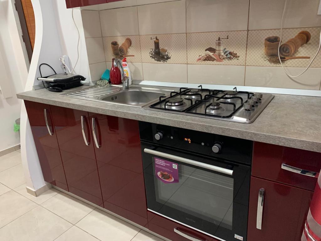 Garsoniera Natalia Apartman Nagyszeben Kültér fotó